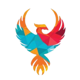 Ready to Transfer - Dtfinusa